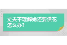 萍乡萍乡的要账公司在催收过程中的策略和技巧有哪些？